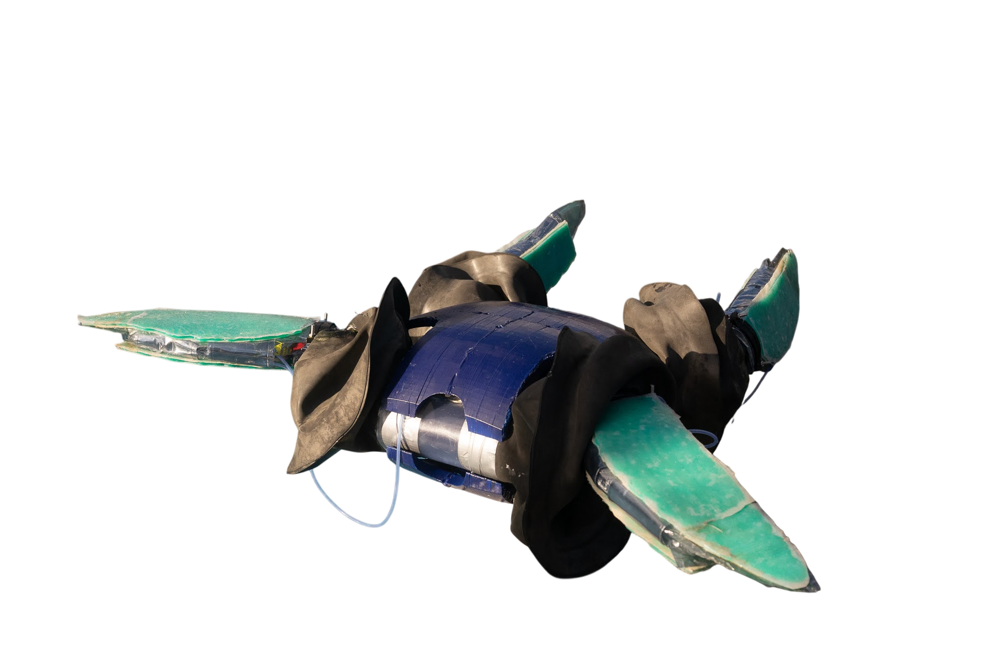 Deep Water Amphibious Robotic Turtle Thumbnail